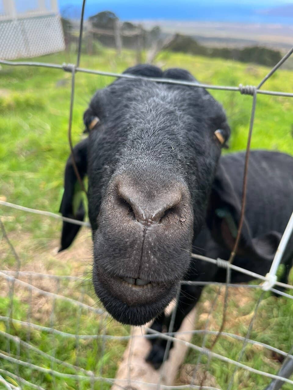 Scenic Views & Photo Ops