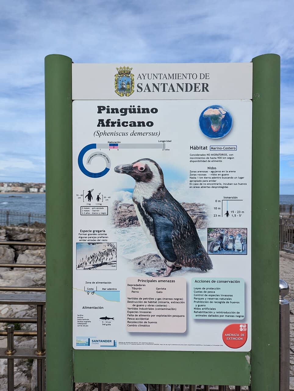 Seal and Penguin Encounters