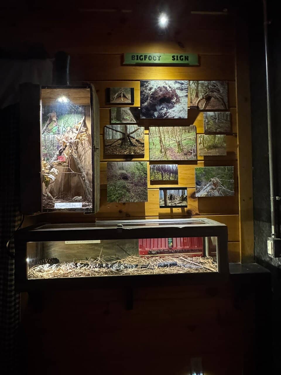 Author Encounters & Book Signings