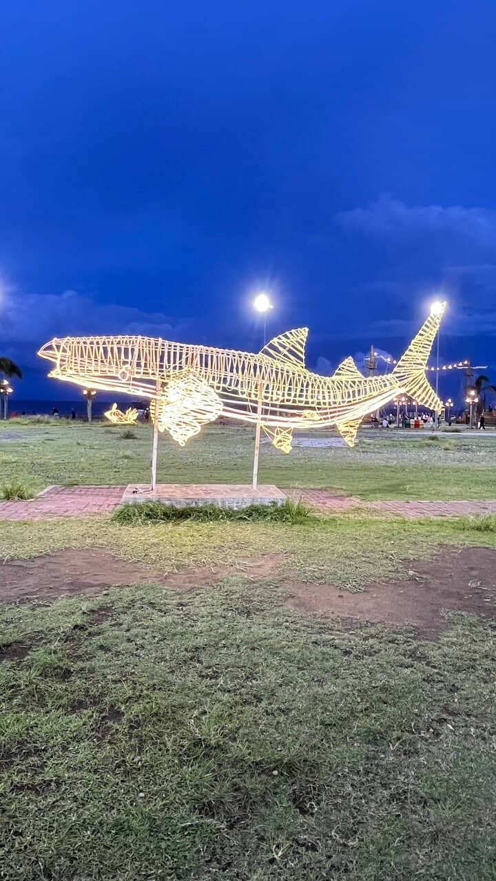 Ocean Views & Gentle Breezes