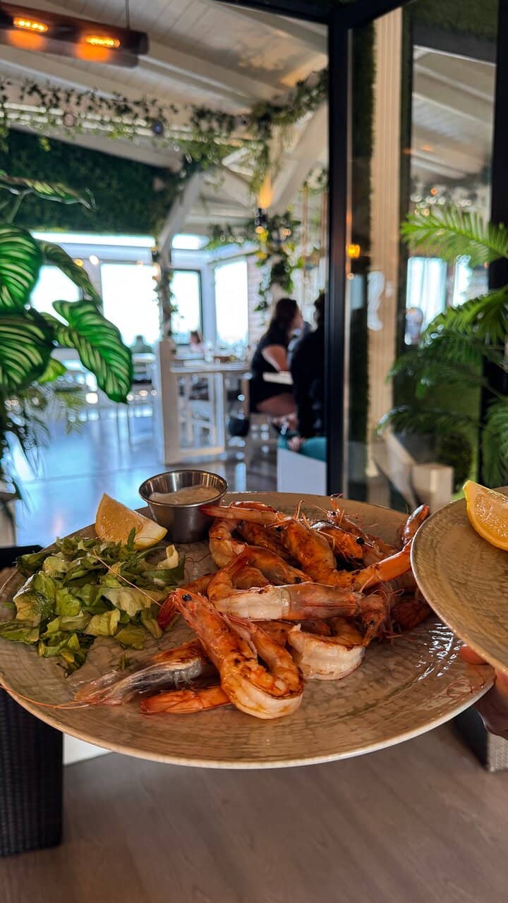 Authentic Turkish Dishes