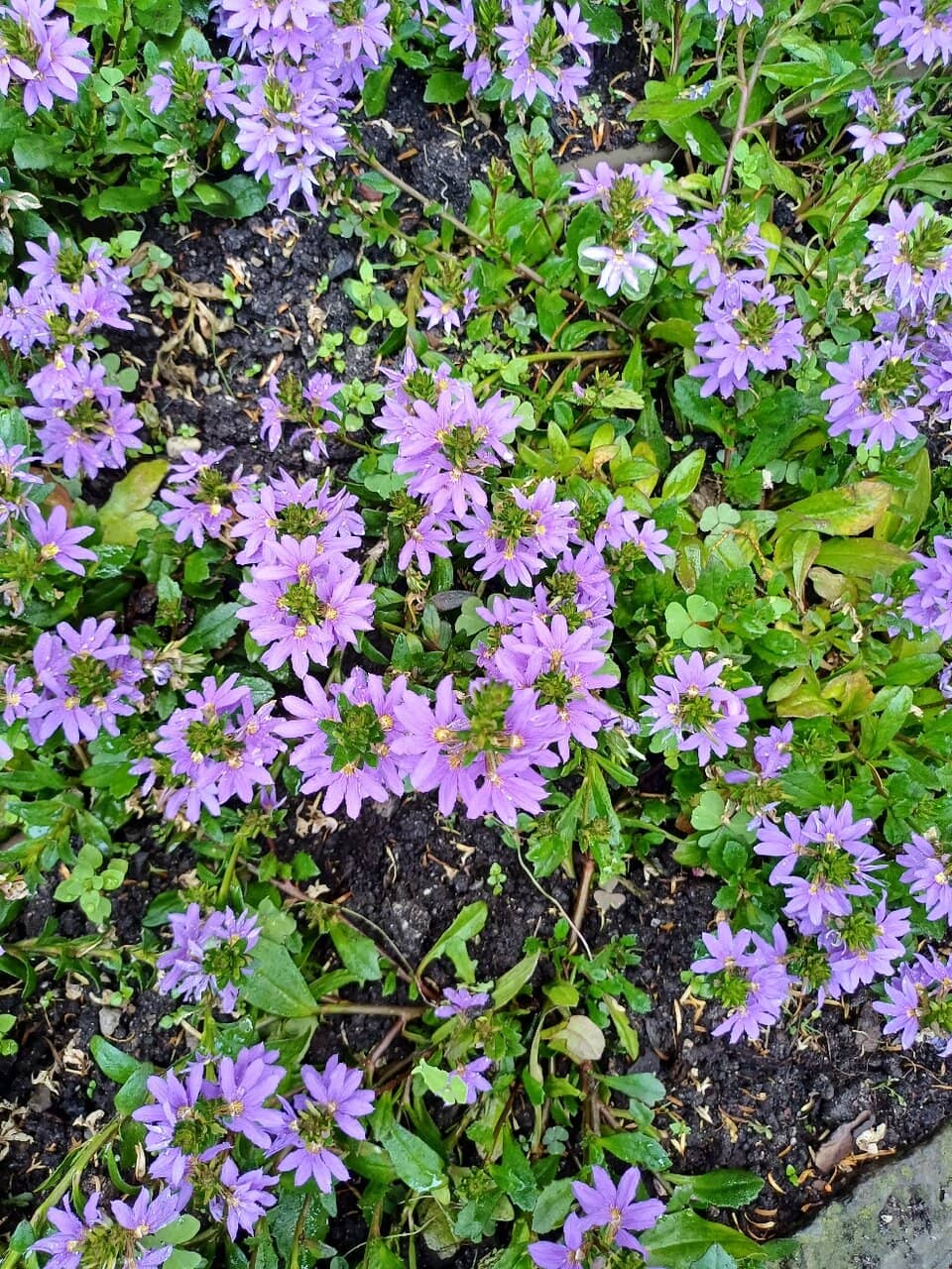 Historic Mansion Interior