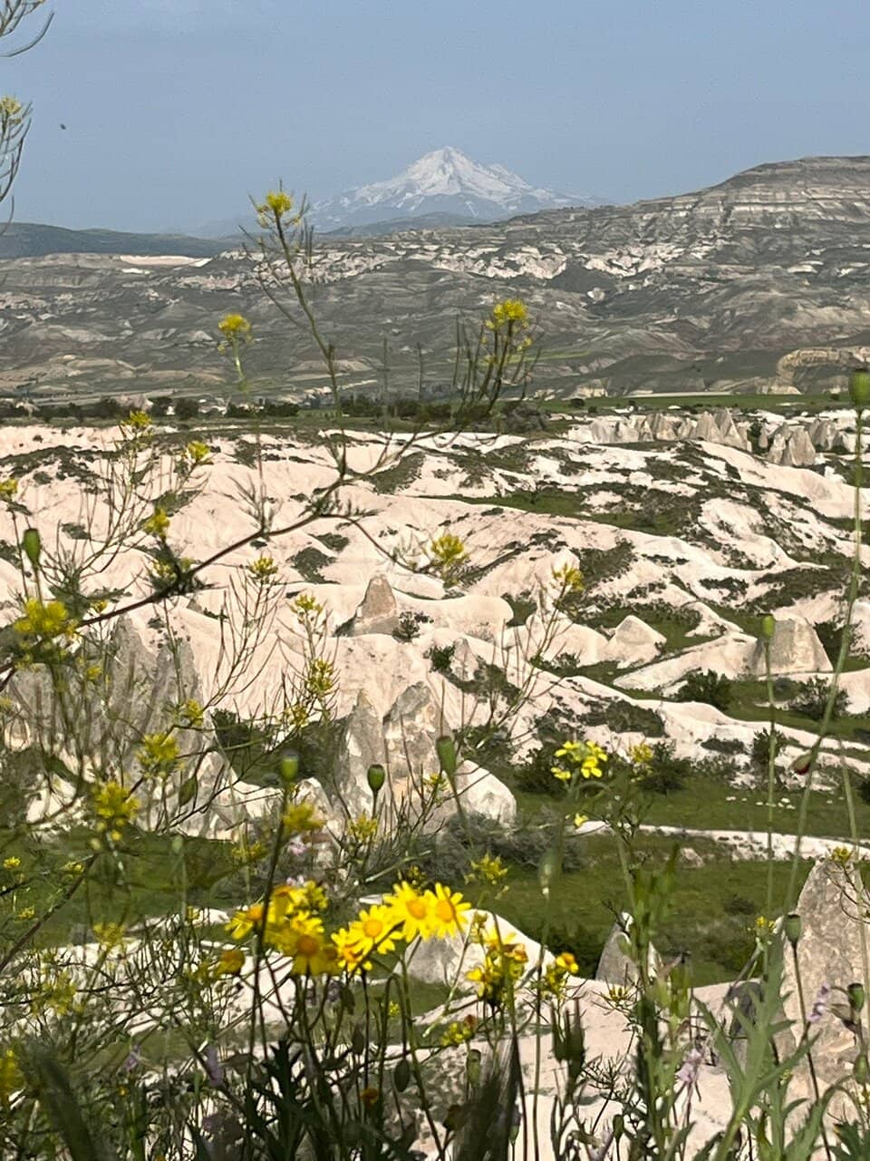 Historical Silk Road Shelter