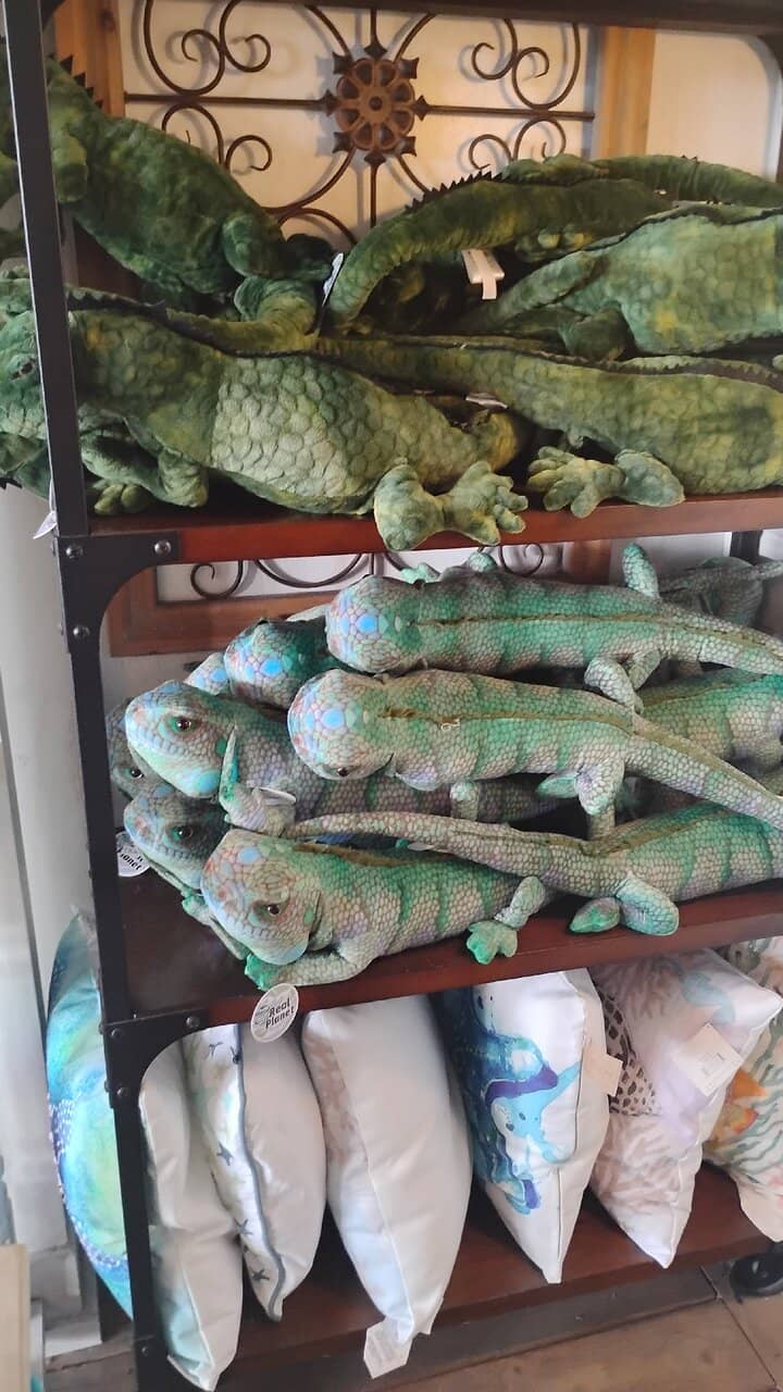 Creative Cupcakes & Ice Cream