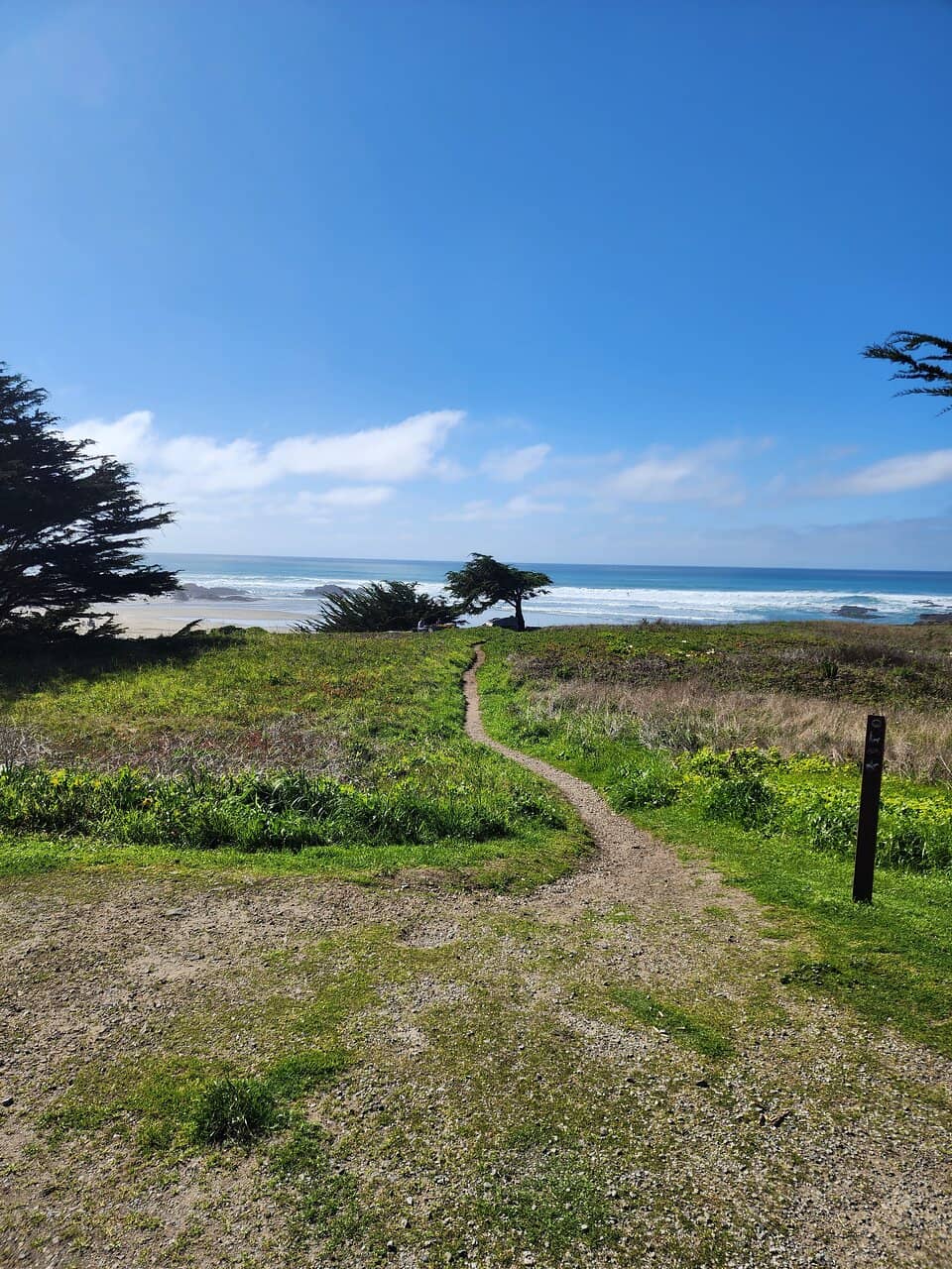 Pudding Creek Trestle Bridge