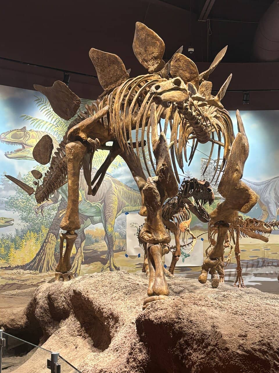 Interactive Fossil Digs