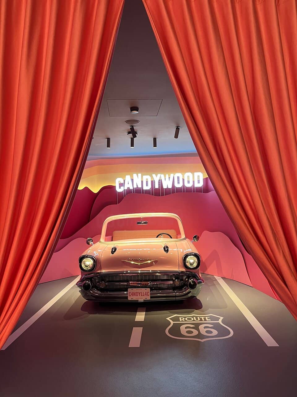 Photo Opportunities Galore