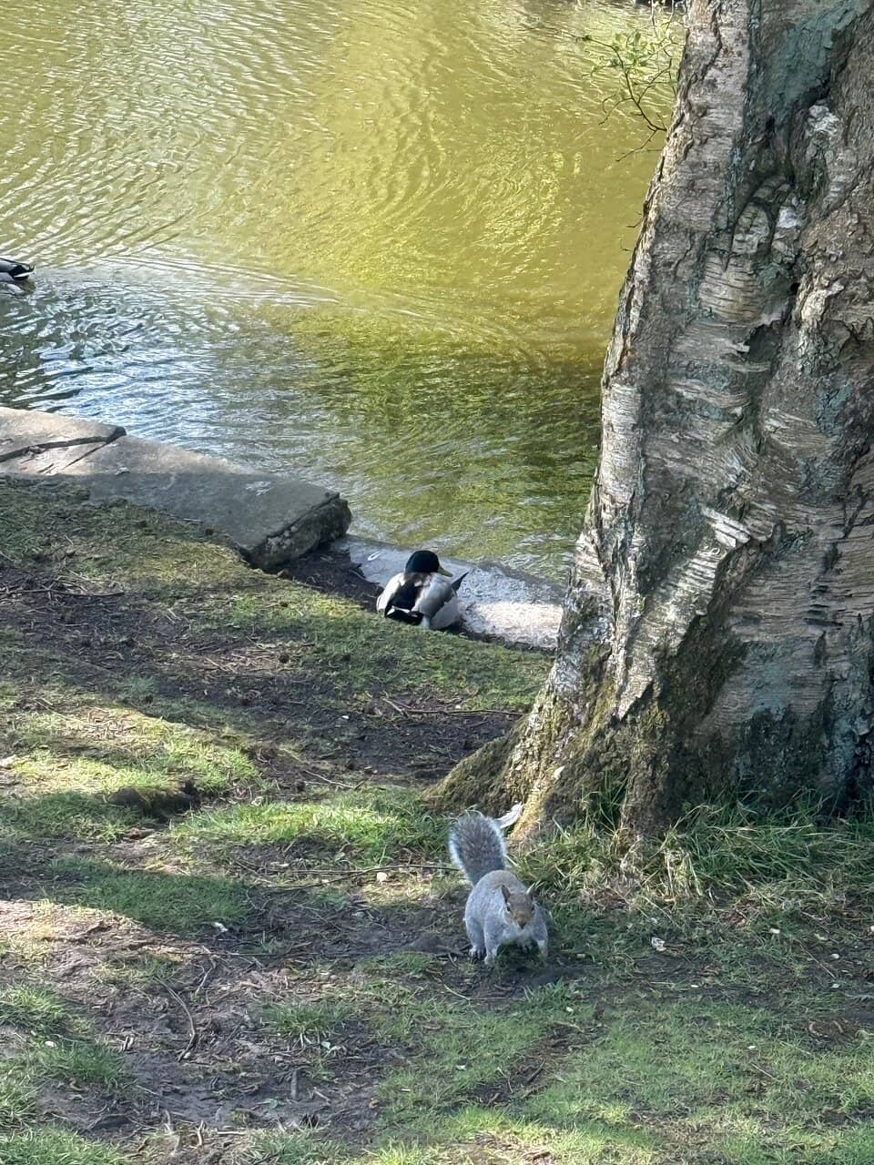 Children's Play Areas