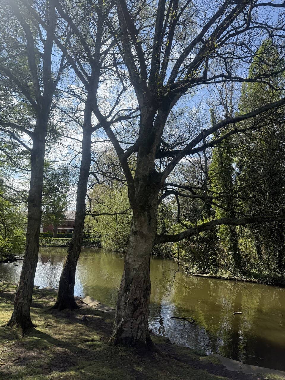 Outdoor Gym Equipment