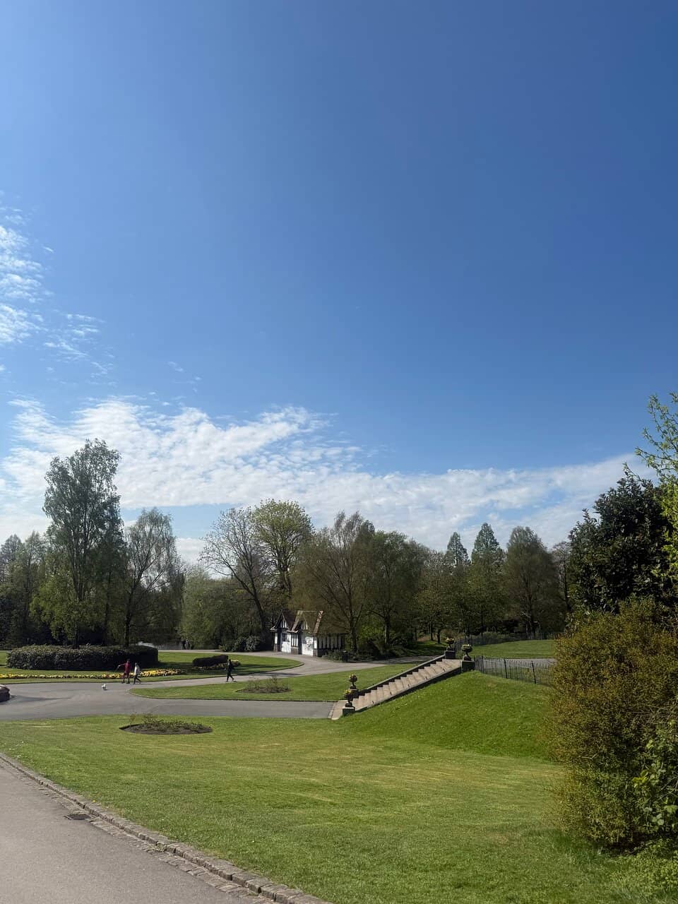 The Lake and Wildlife