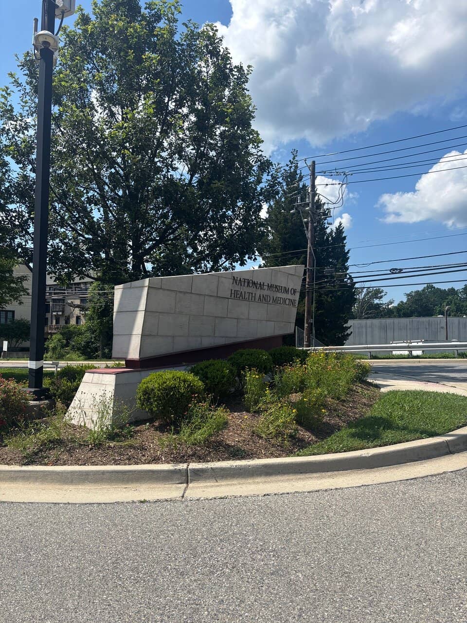 President James Garfield's Spine