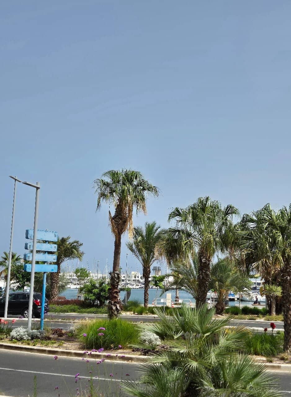 Outdoor Training Station