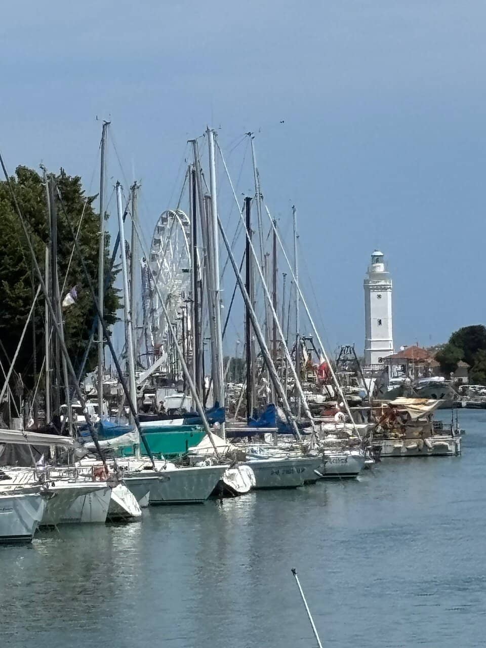Vertical photo