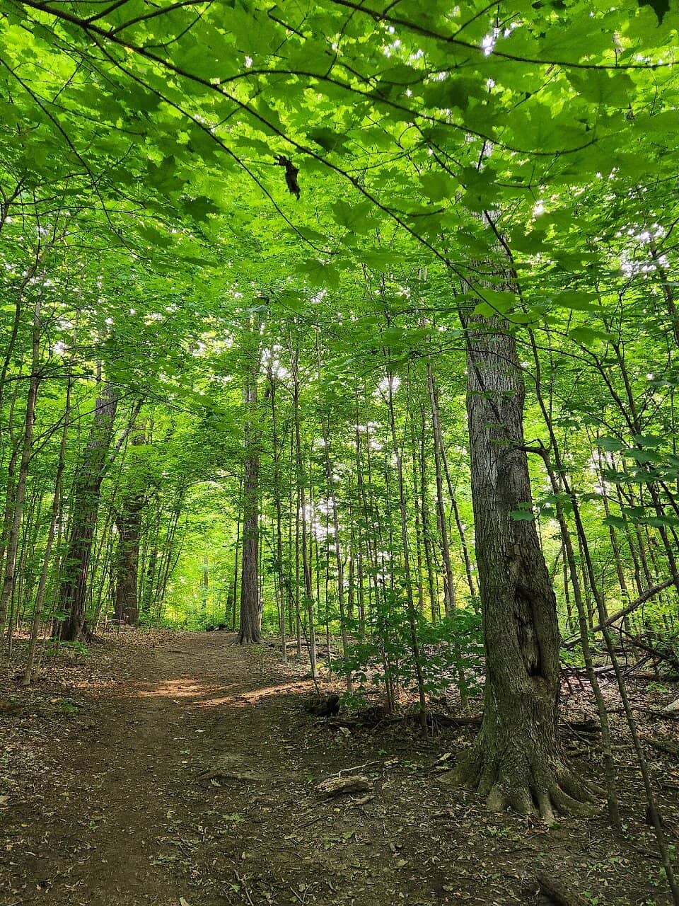 Picnic Point Overlook
