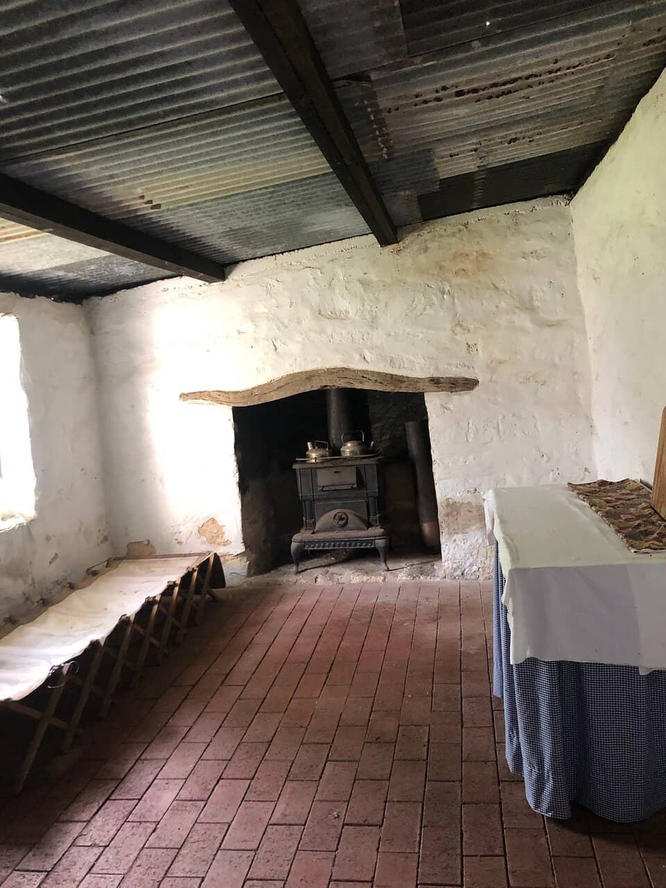 Kangaroos and Native Wildlife