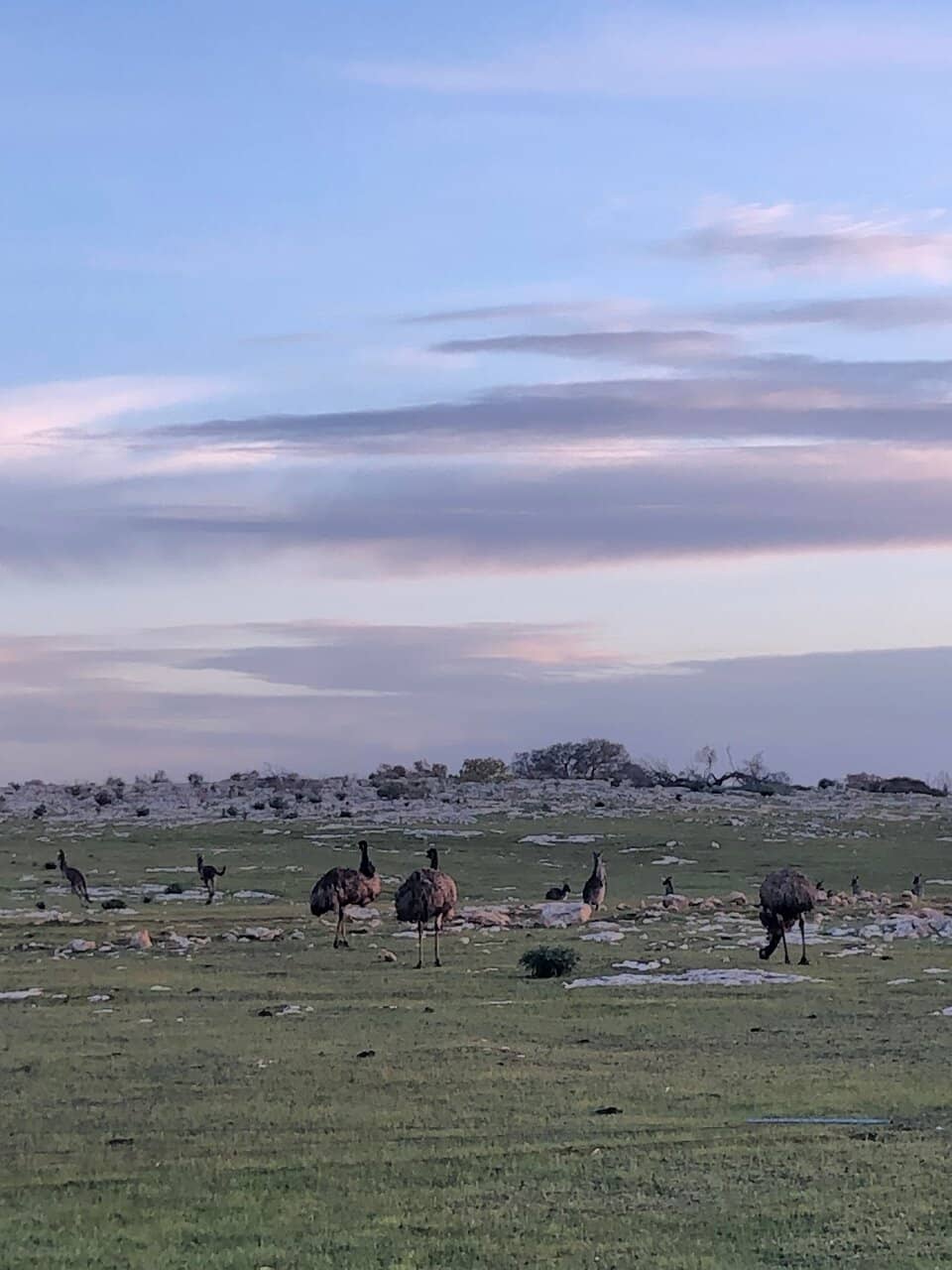 Scenic Bushland Setting