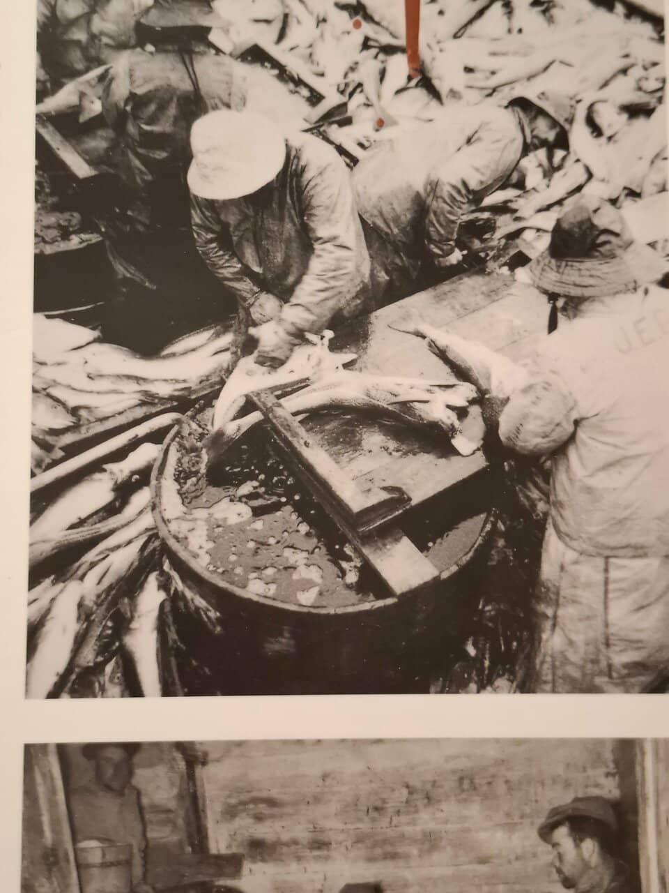 Pilgrim Passport Stamp