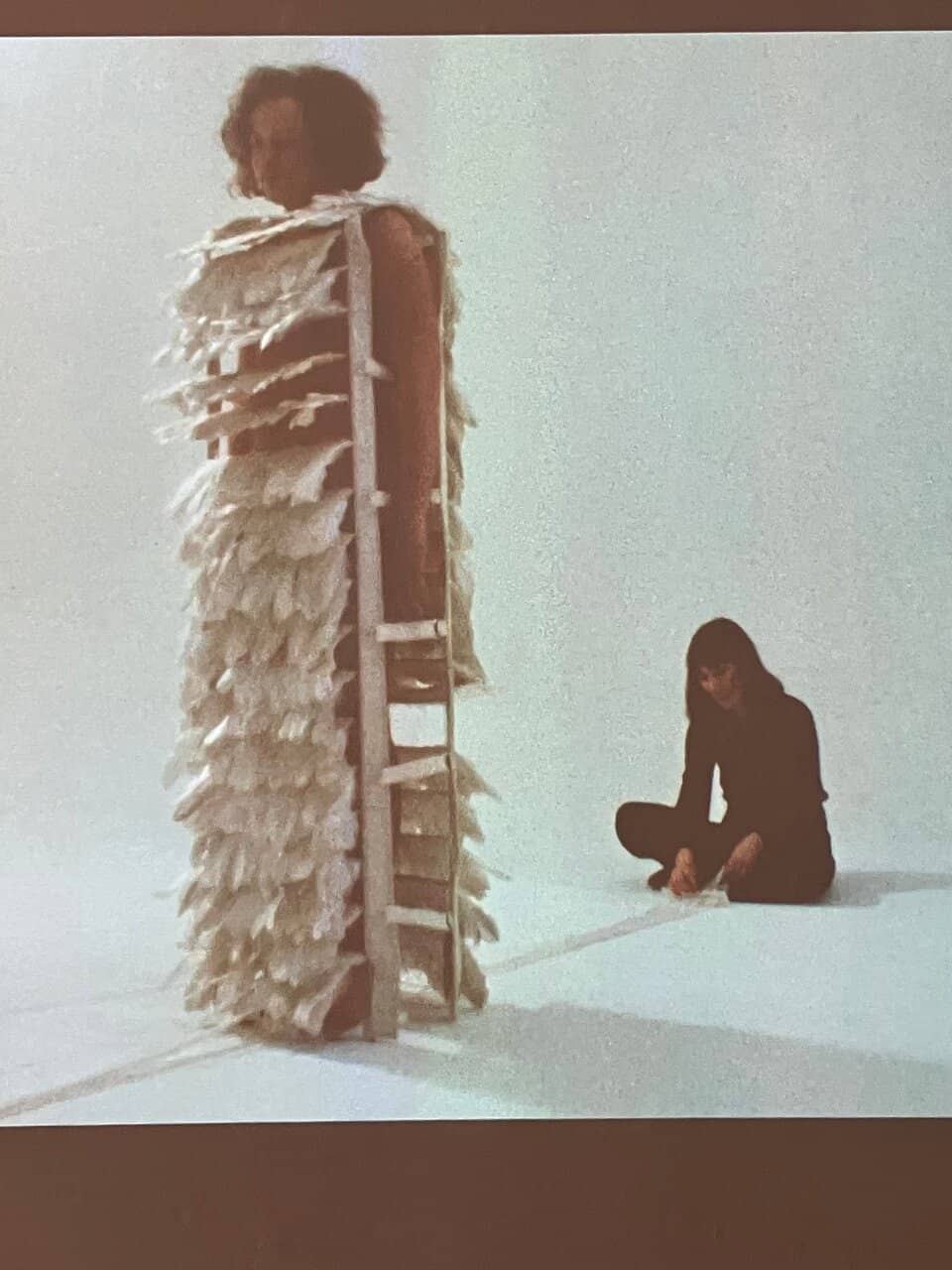 The Castle's Backyard