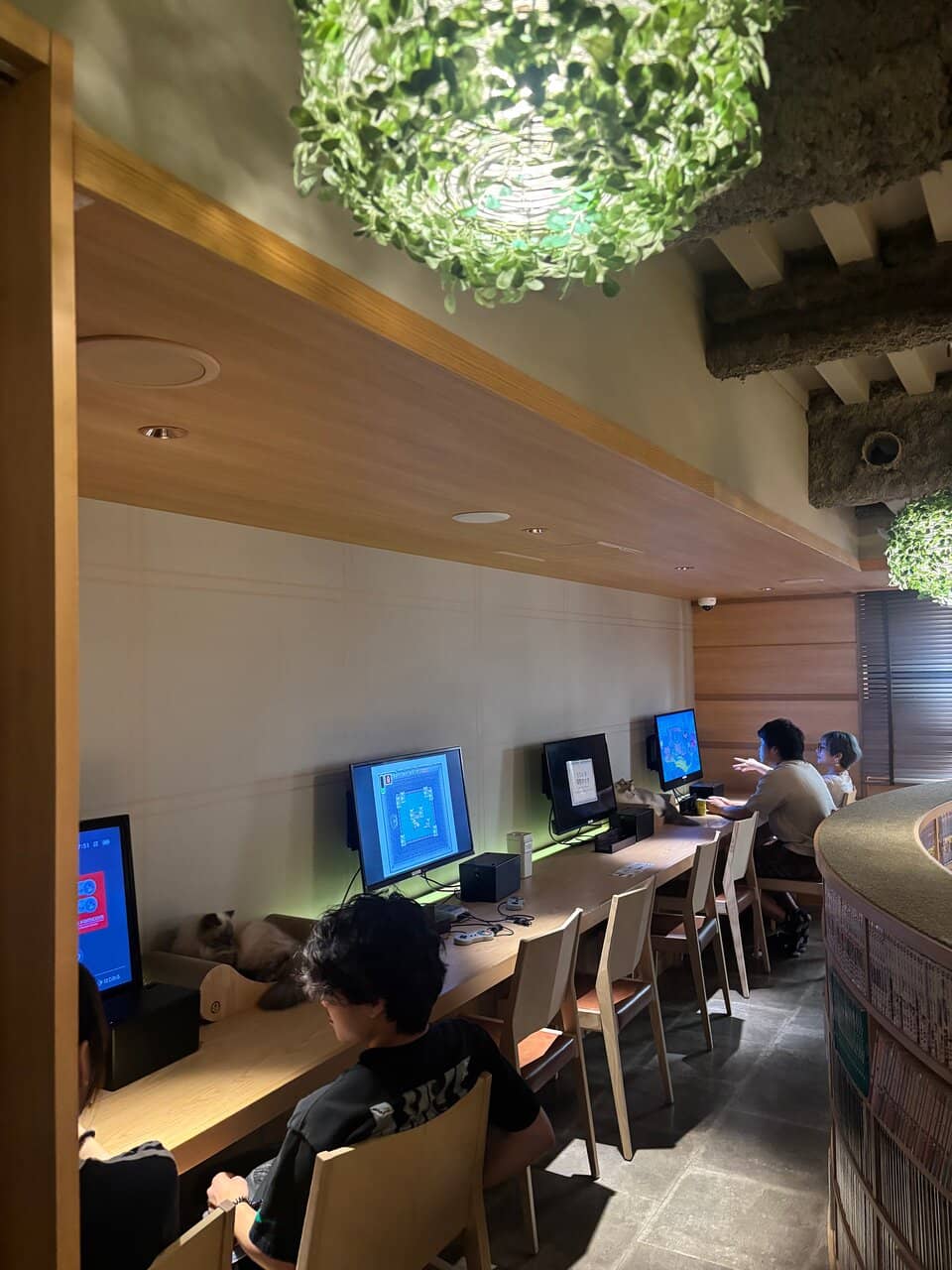 Relaxing Cafe Ambiance