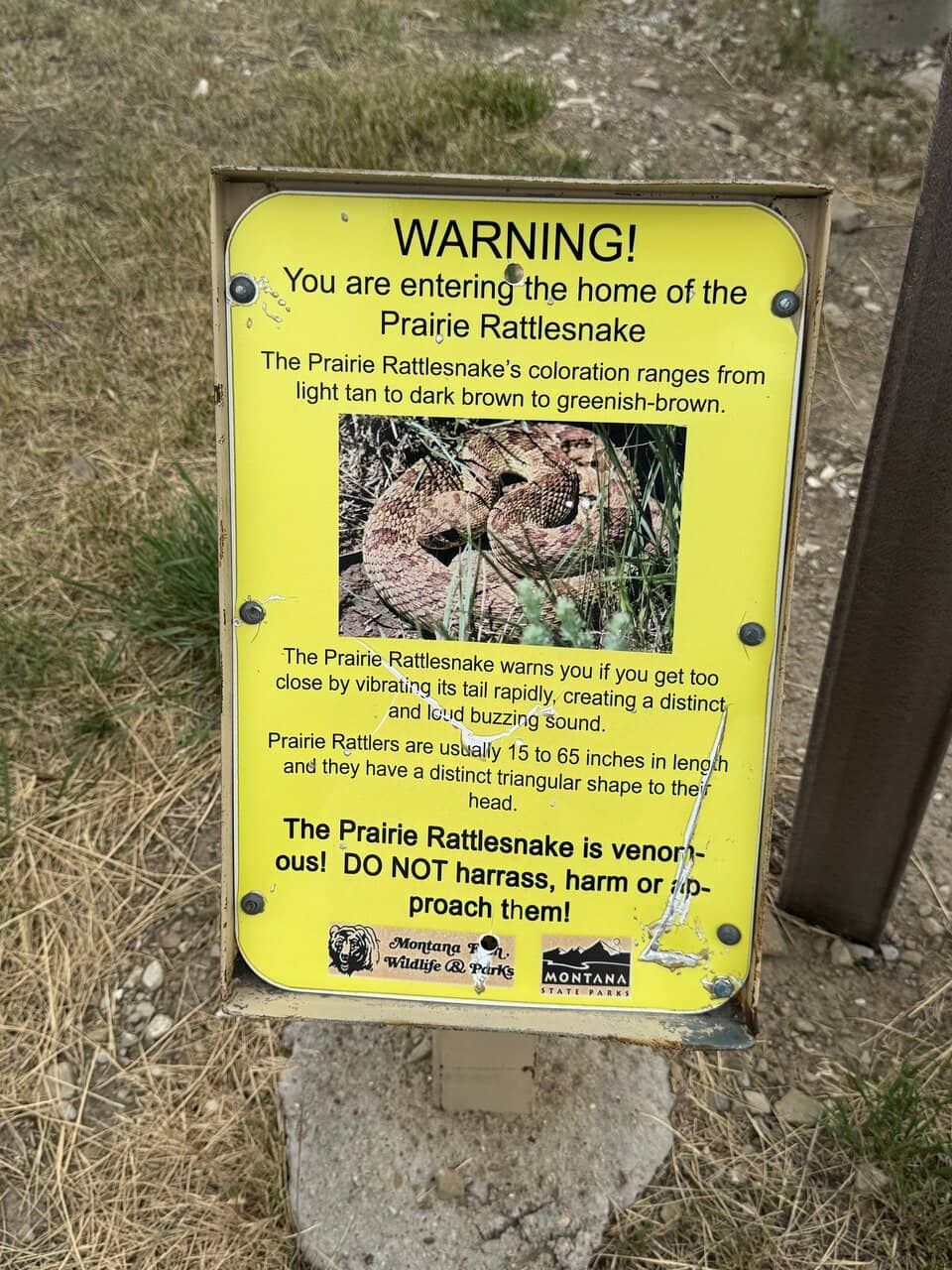 Visitor Center Exhibits