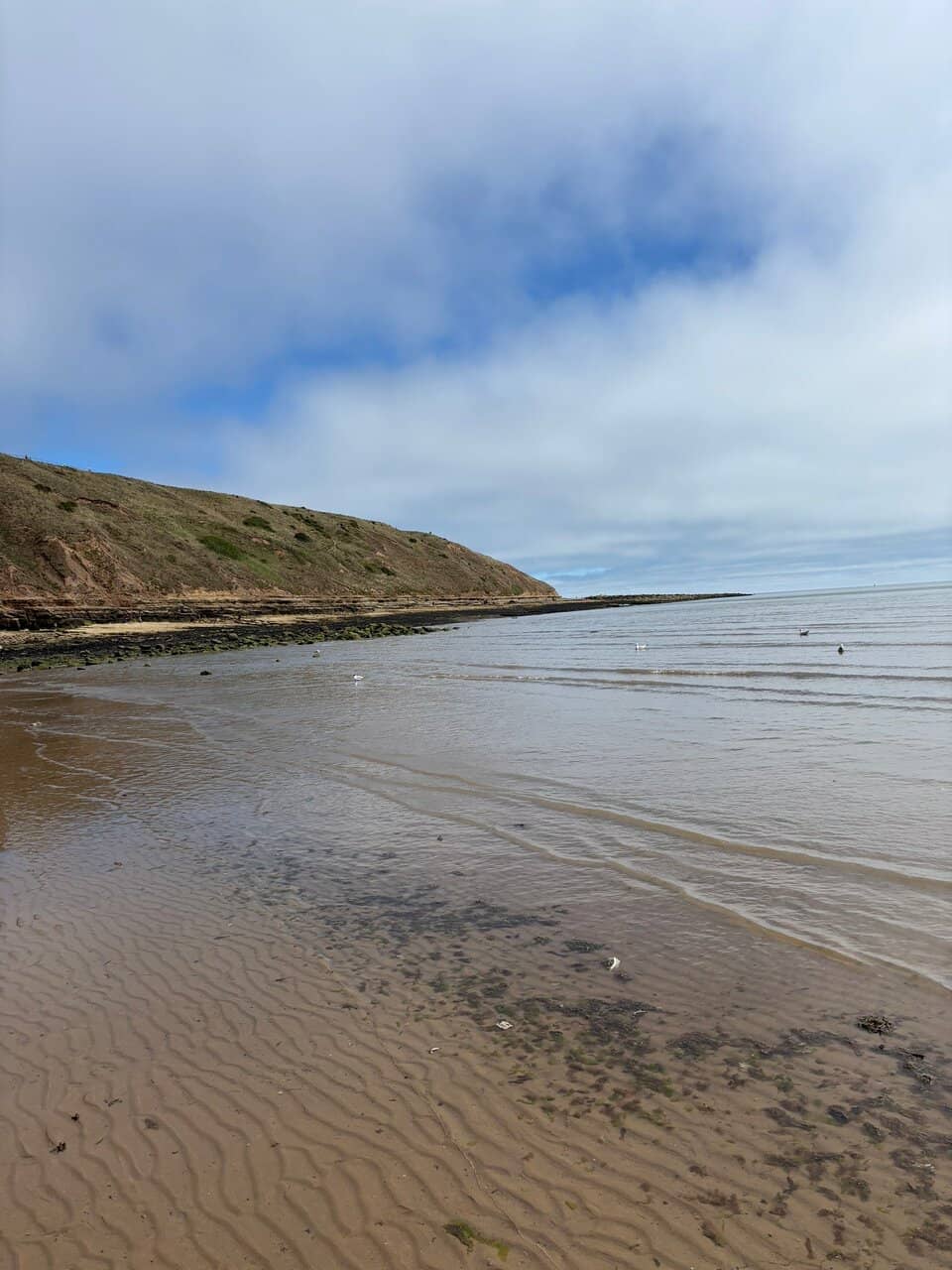 Filey Brigg Peninsula