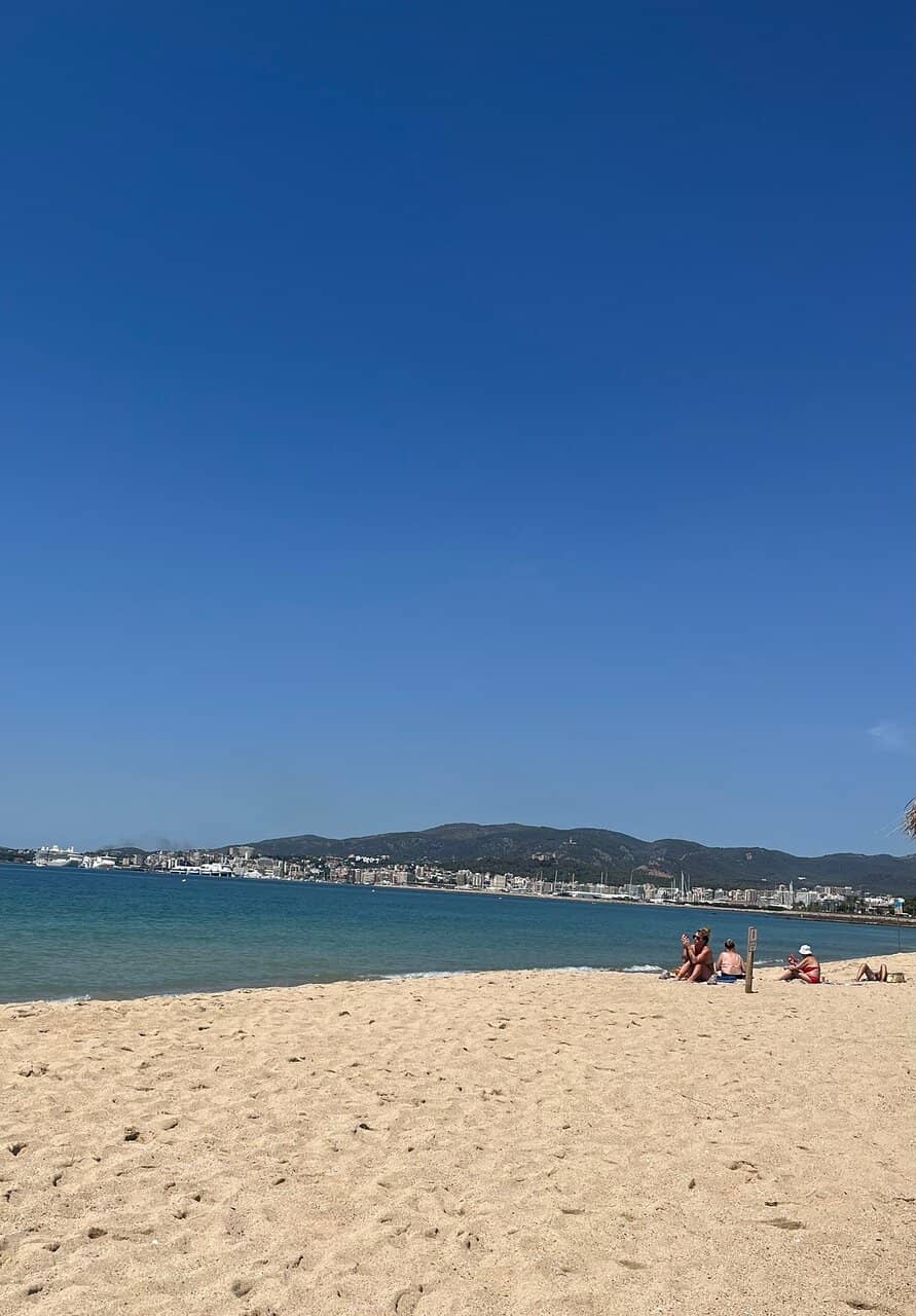 Palma Cathedral Views