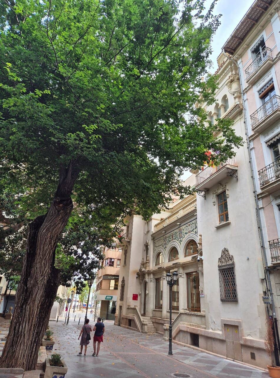 Vertical photo