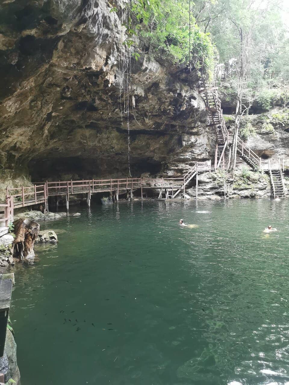 Bike Ride Through Forest
