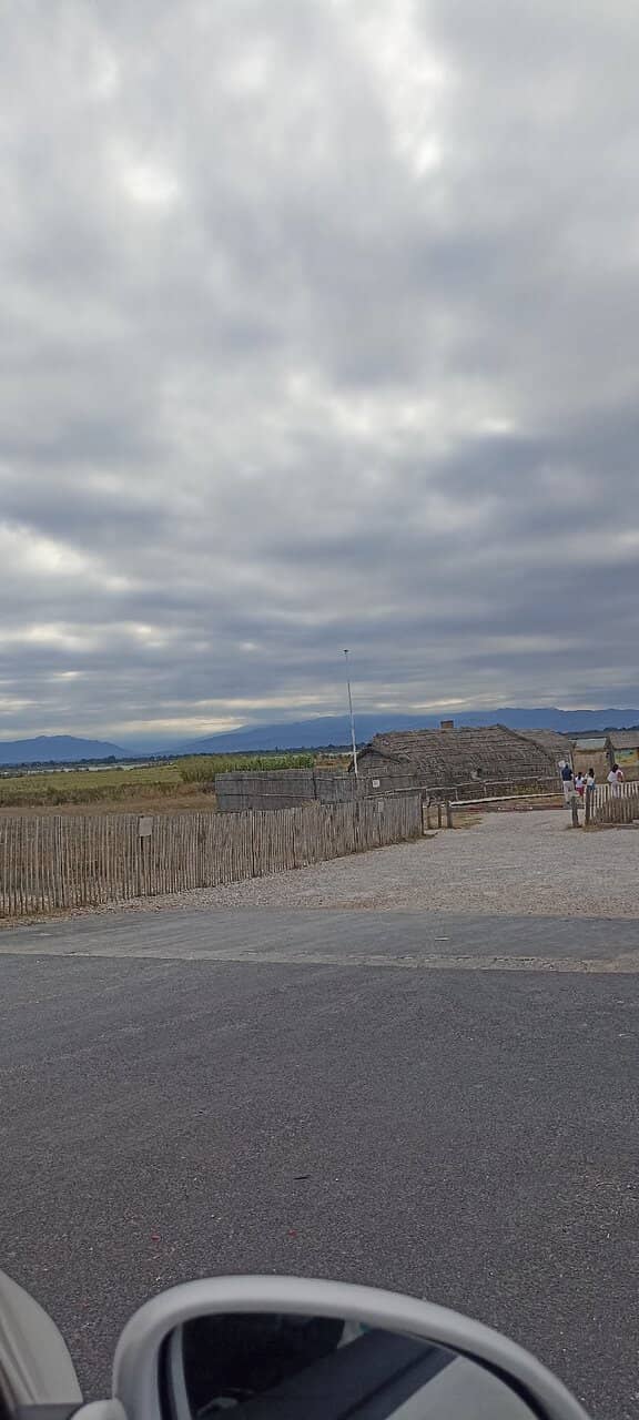 Birdwatcher's Paradise