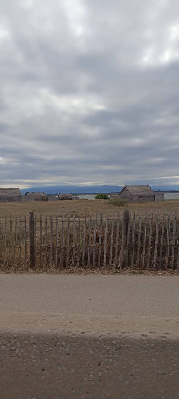 Tranquil Nature Walk