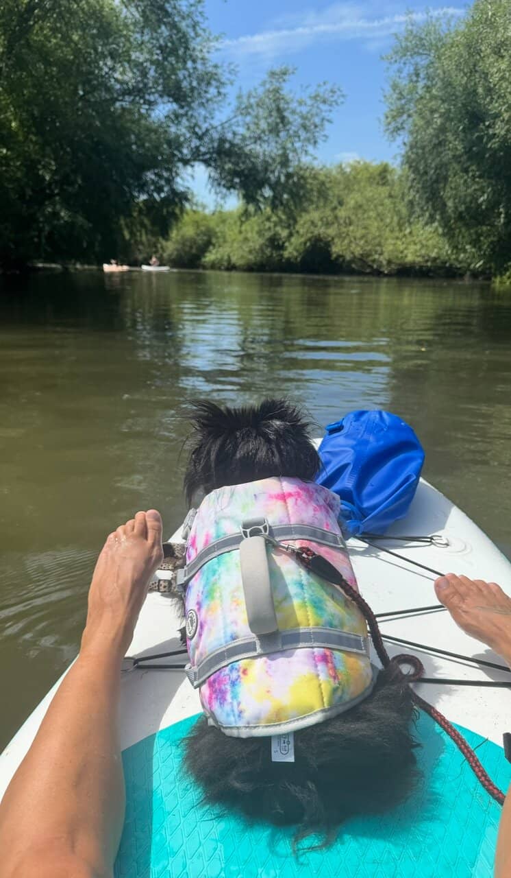 River Stour Paddling