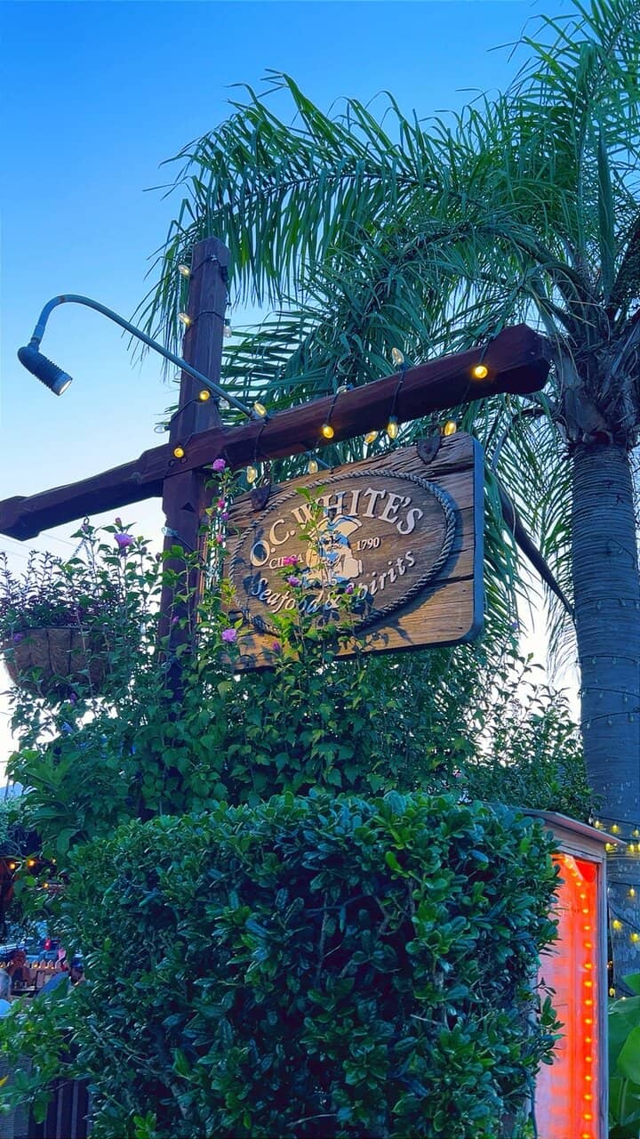 Vibrant Outdoor Ambiance with Live Music