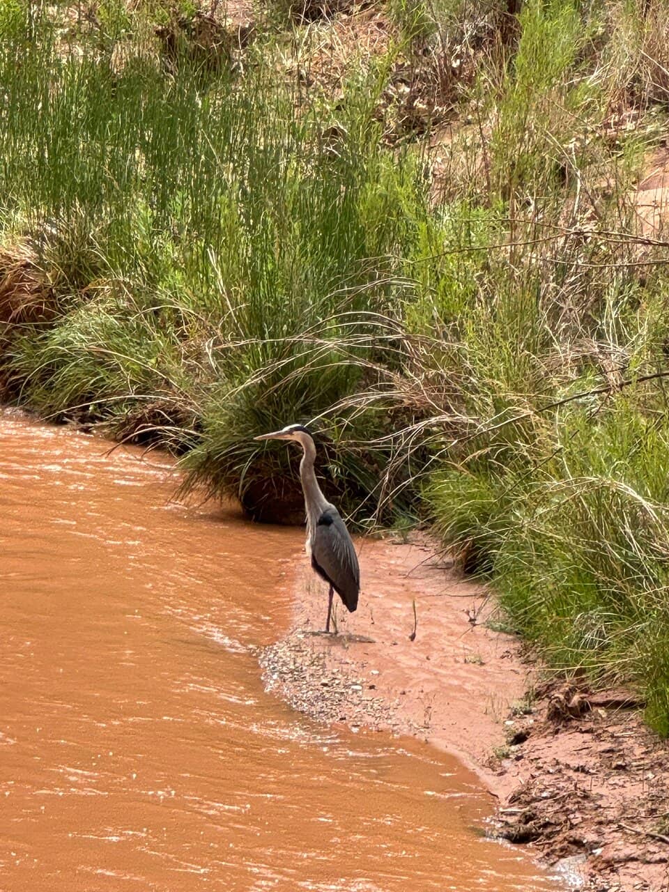 Behind the Bridge Exploration