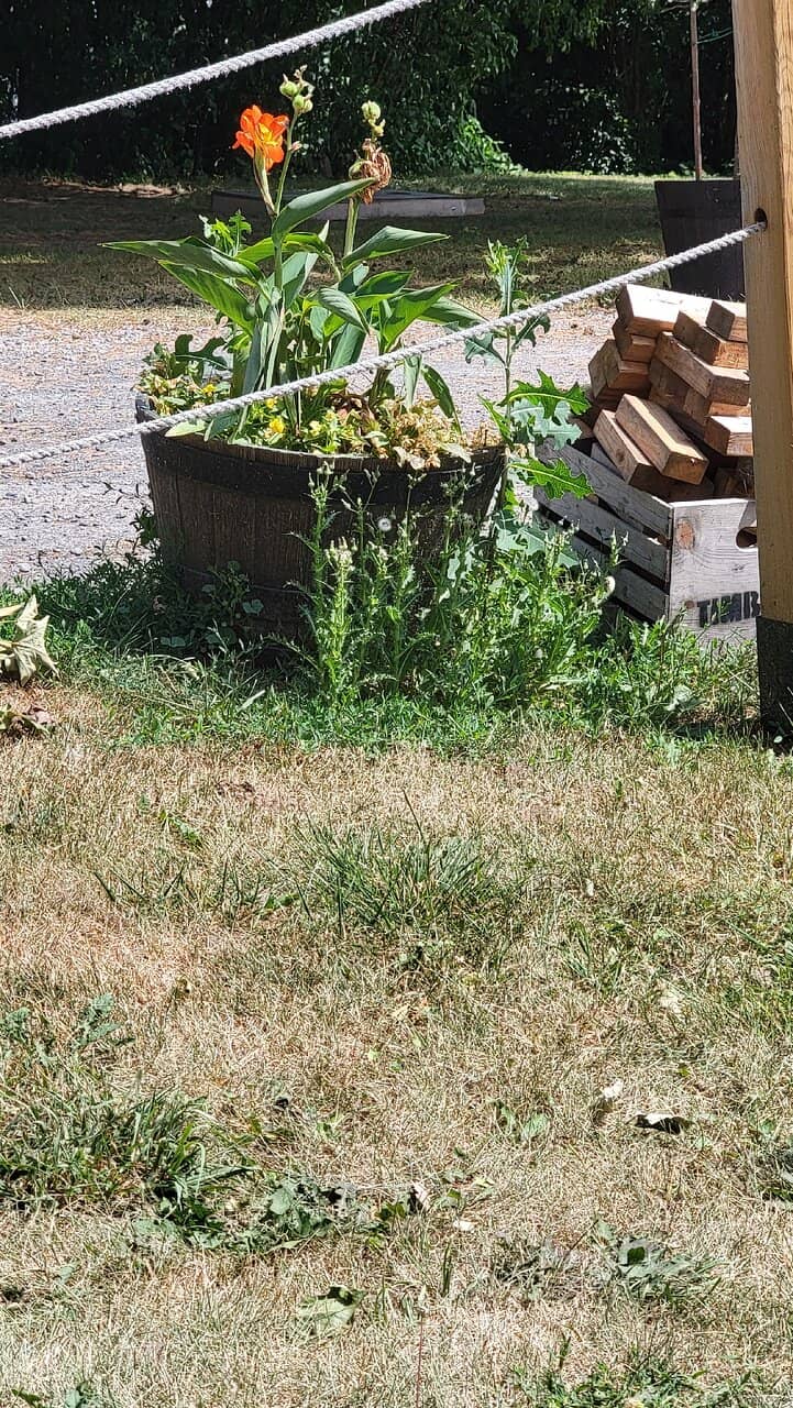 Handcrafted Spirits Tasting