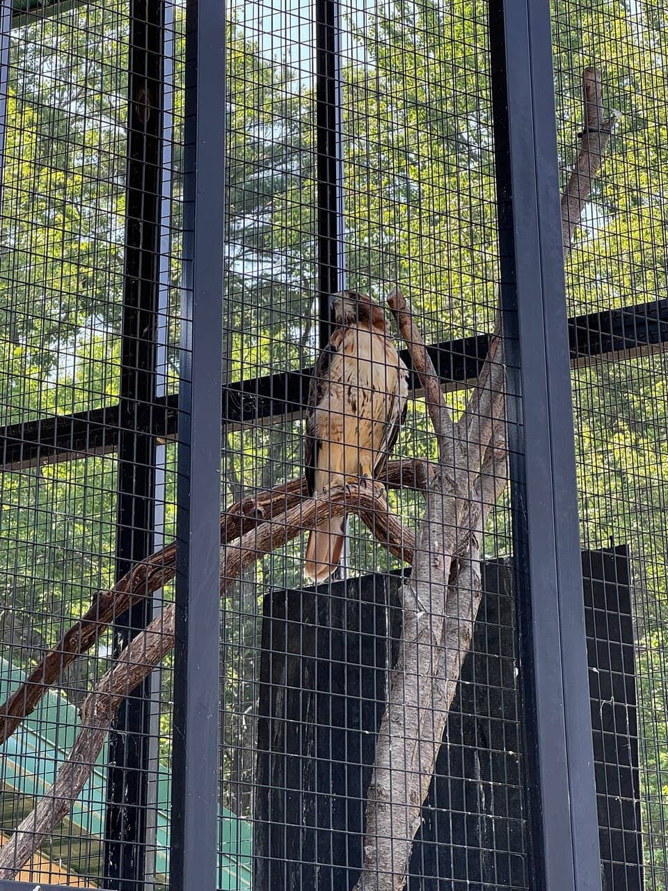 Expansive Park Grounds