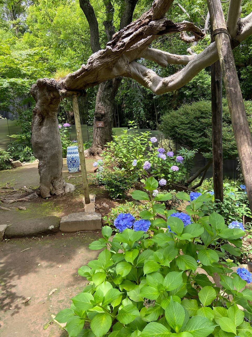 Appreciation of Beauty