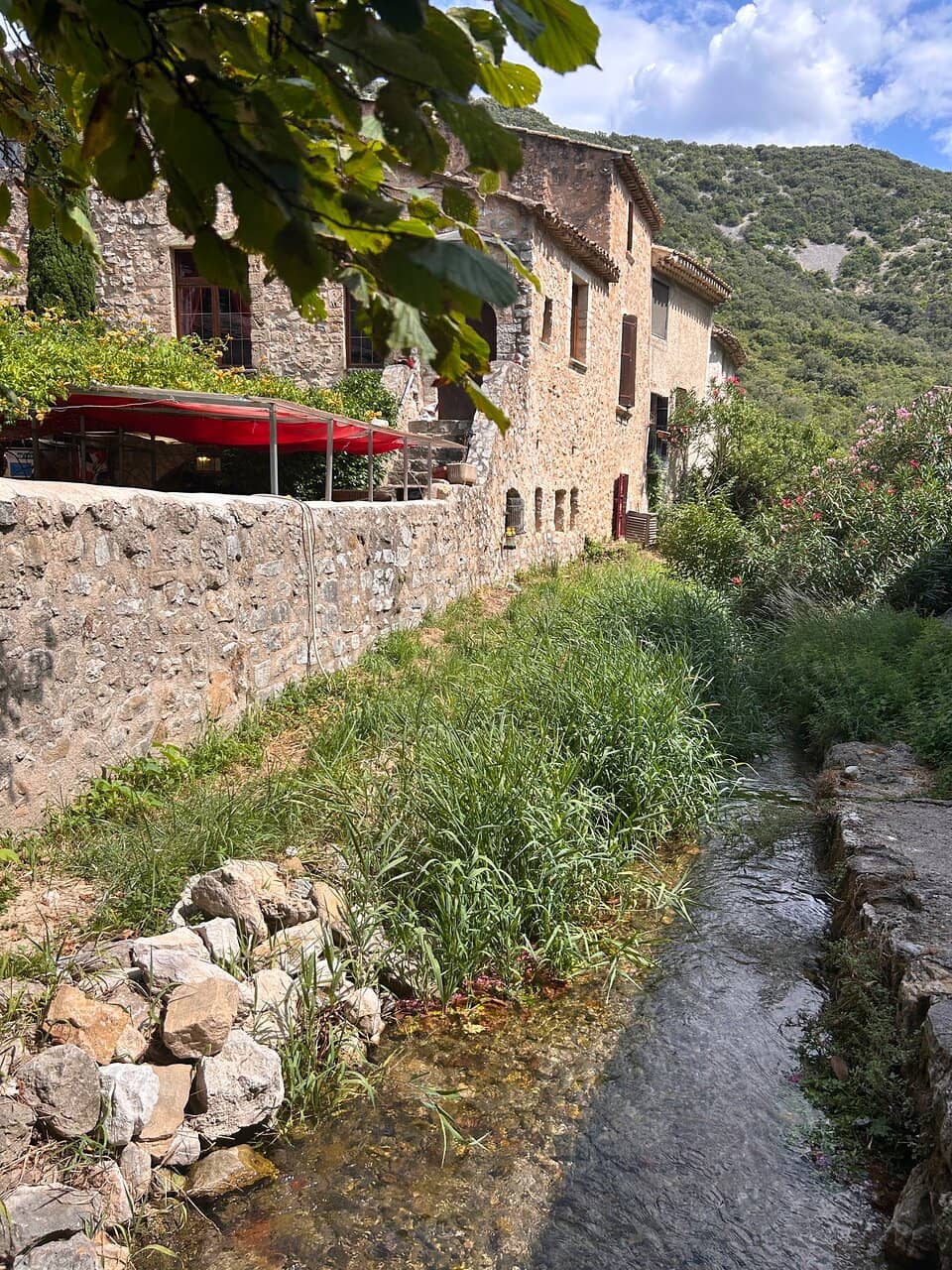 Swimming and Kayaking