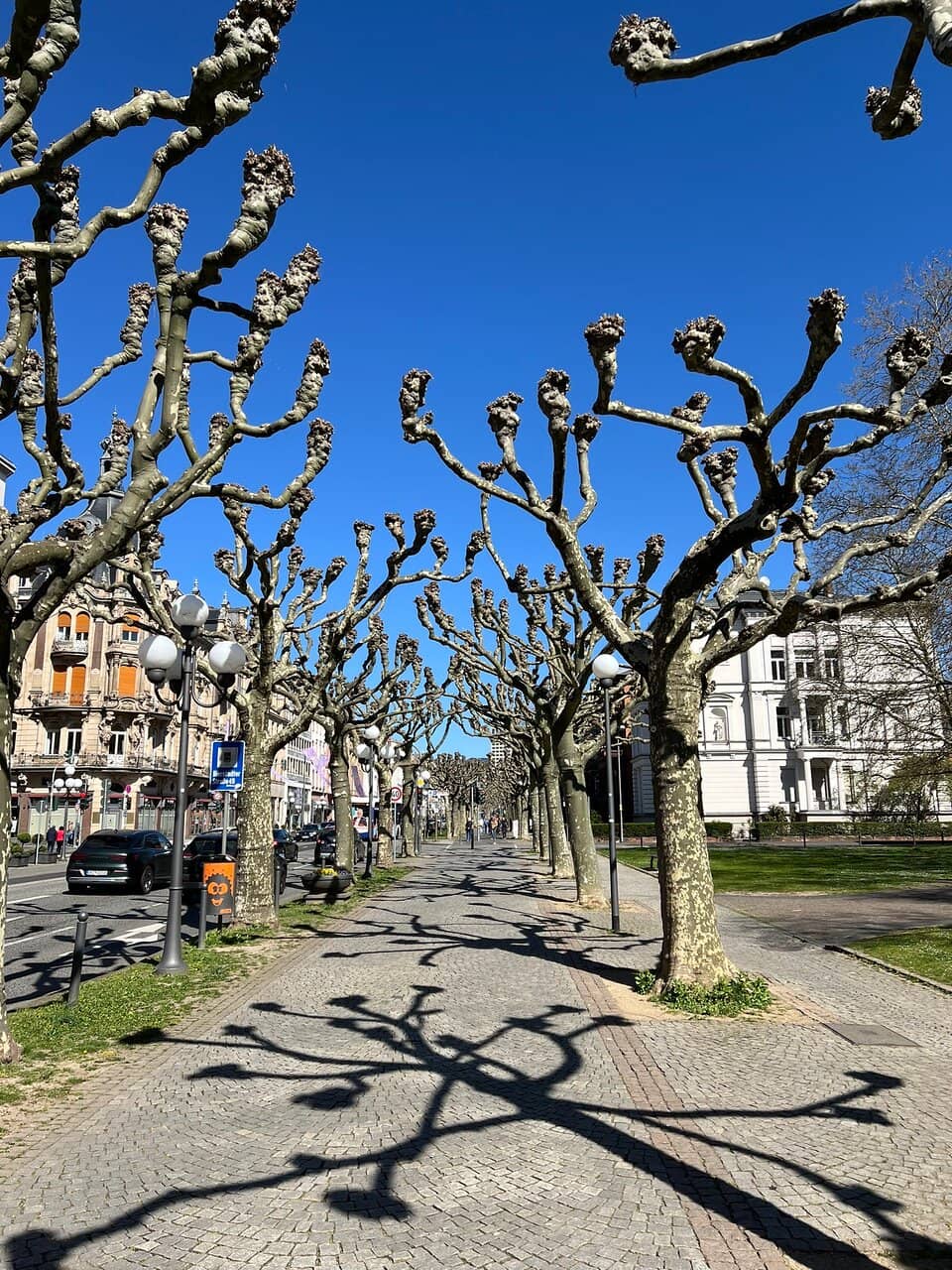 Historic Significance