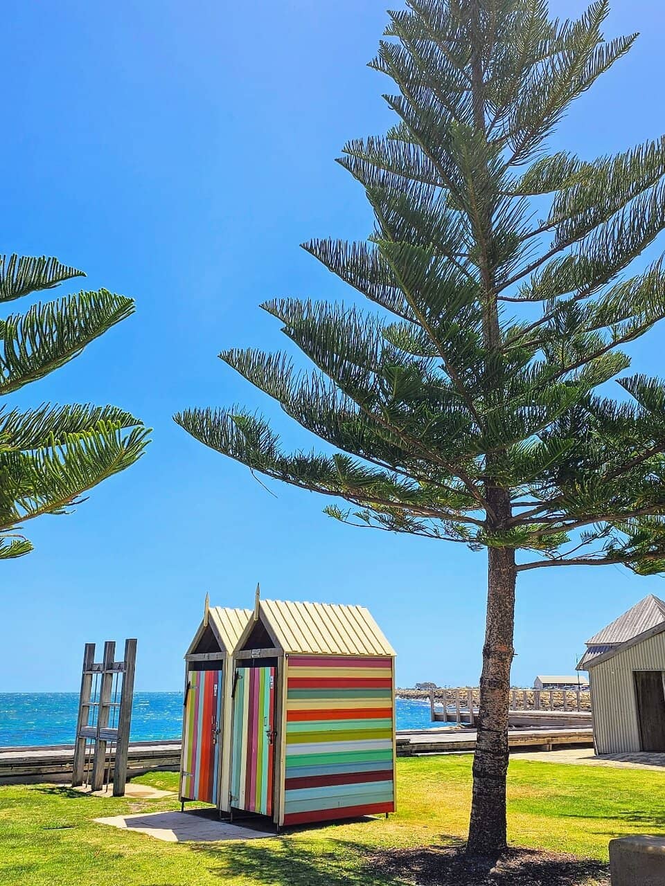 Playground and Ferris Wheel