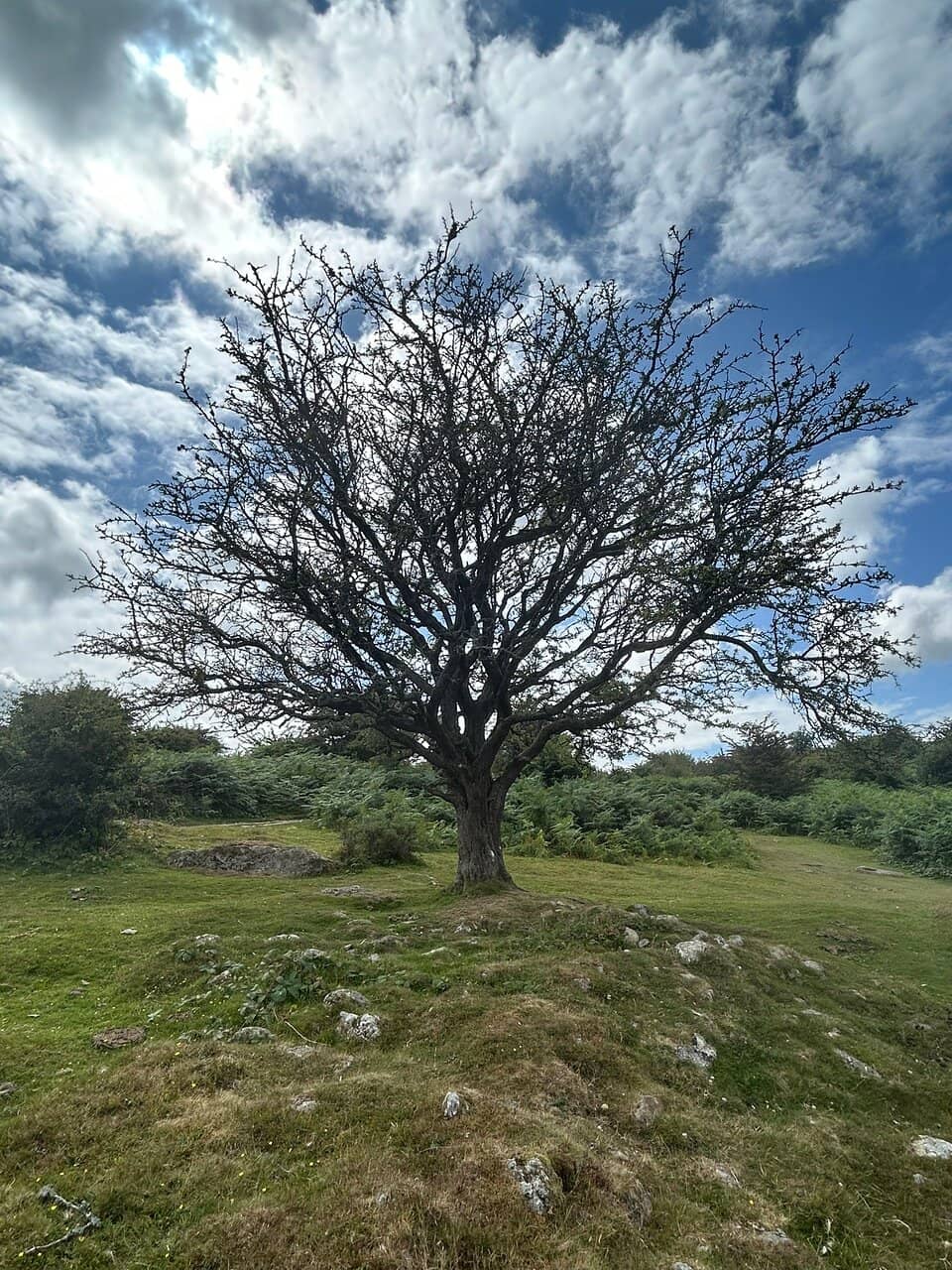 Medieval Village Ruins