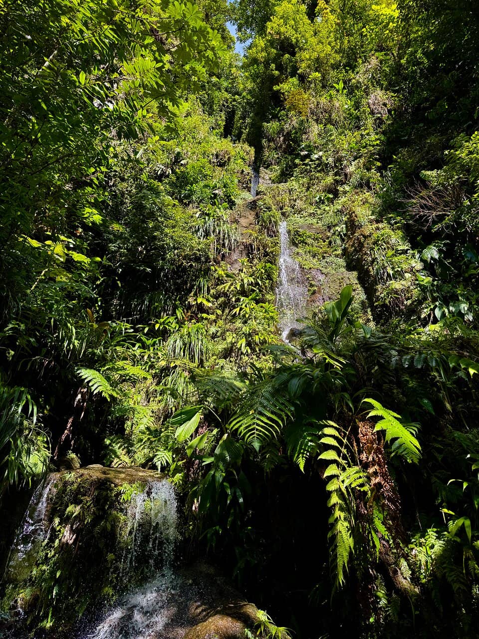 Refreshing Waterfall Swim