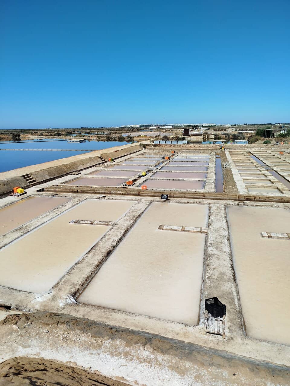 Therapeutic Salt Mud Baths