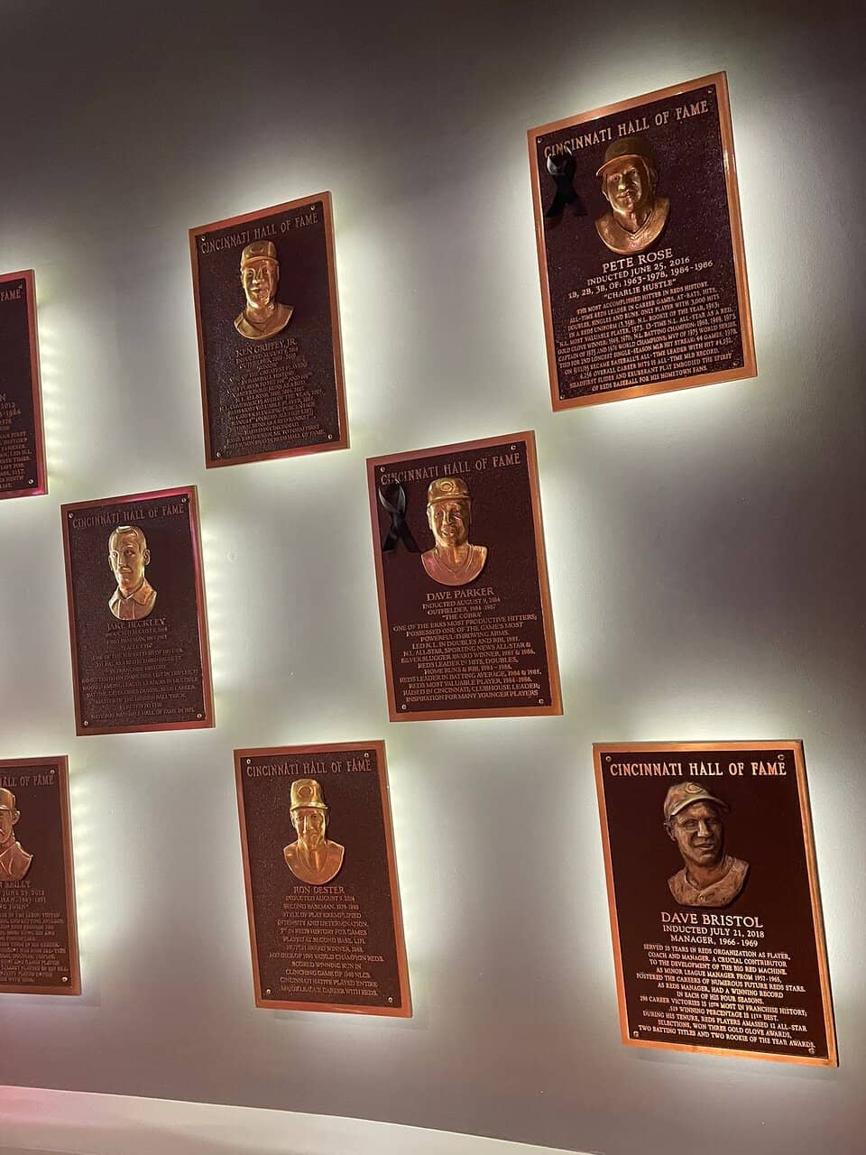 Interactive Exhibits