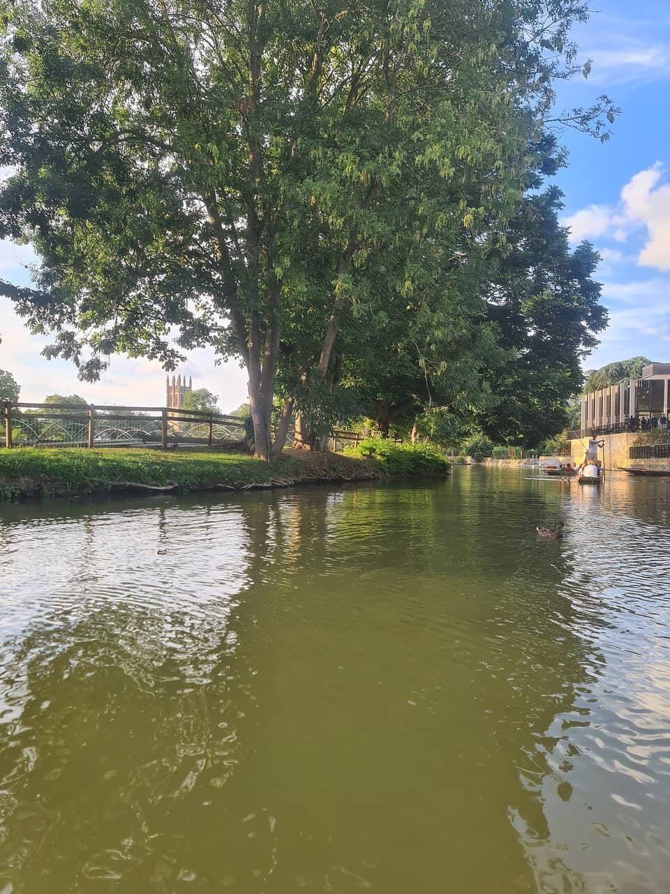 Chauffeured Punt Tour