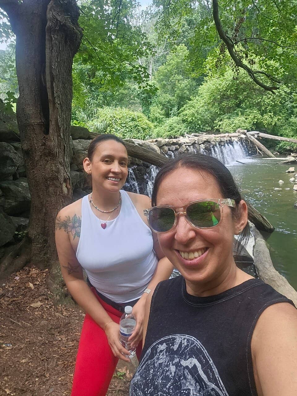 Hunting Hill Mansion