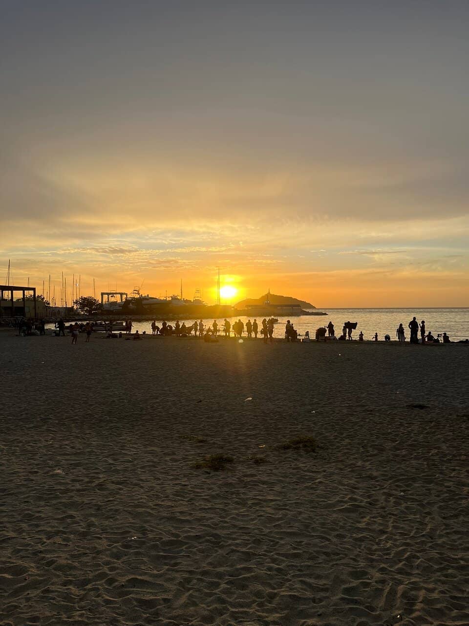 Vibrant Bayfront Stroll