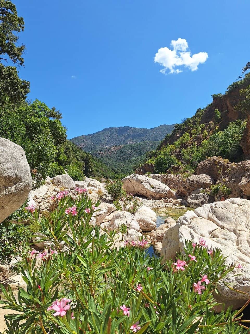 Natural Spring Refreshment