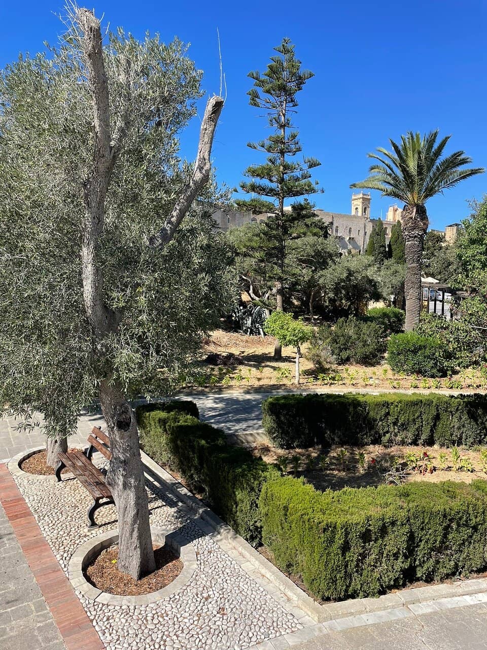 Christmas Market Magic