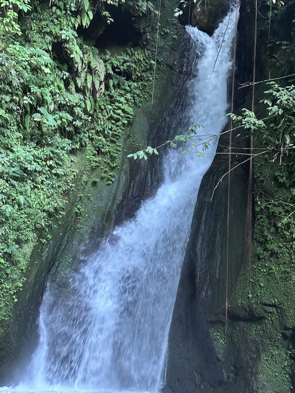Vertical photo