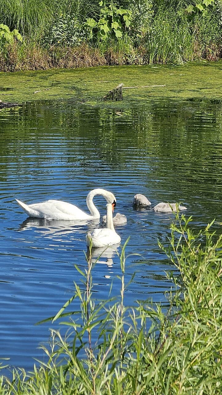 Water & Sand Play Area
